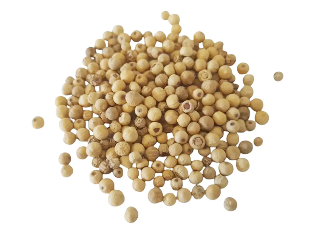 Pimenta Branca Grãos