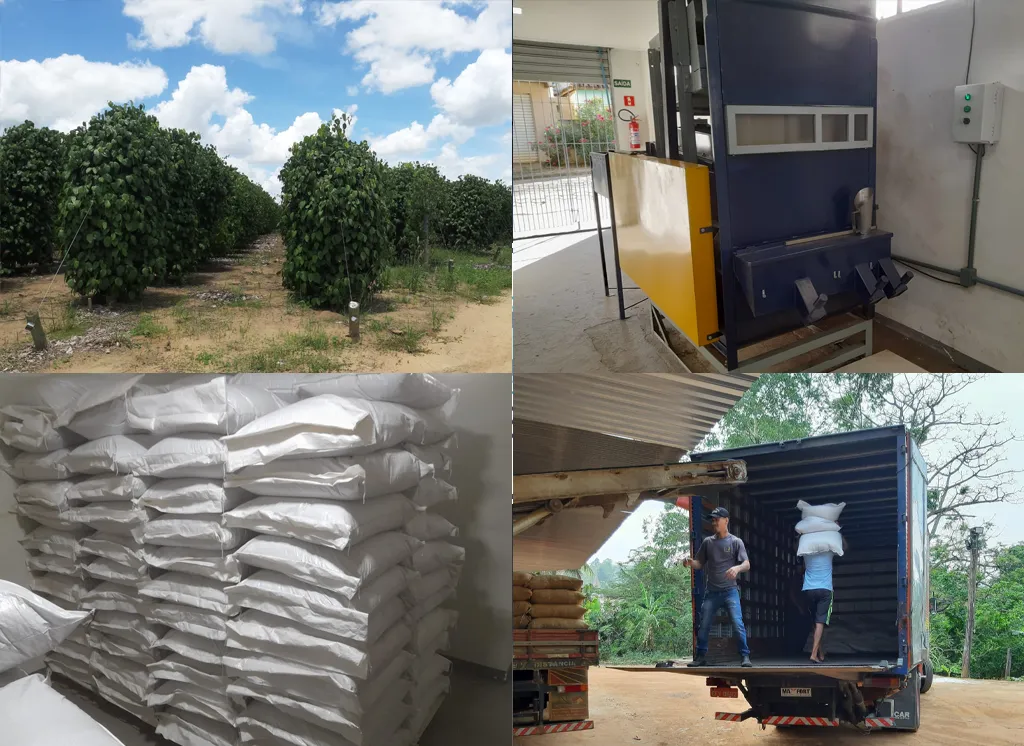 Processo de Beneficiamento K3